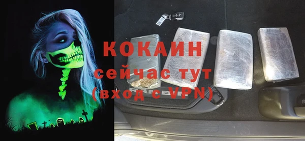 mix Богородицк